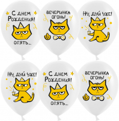 Шар С Днем Рождения! (рыжий котик), Белый Пастель 1 ст