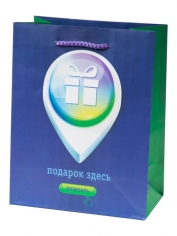 Пакет подарочный 