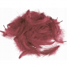 Перья Бордовые / Burgundy
